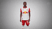 Trick Circus GIF by FC Red Bull Salzburg