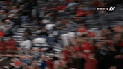 cincinnati bearcats celebration GIF by University of Cincinnati Athletics