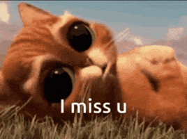Movie gif. Baby Puss in Boots from Puss in Boots, lying in the grass, oversized eyes wide and crestfallen. Text, "I miss u."
