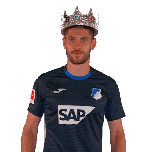 Andrej Kramaric Sport Sticker by TSG Hoffenheim