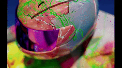 GIF by Smallzy