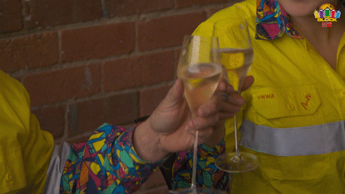 Channel 9 Cheers GIF by The Block