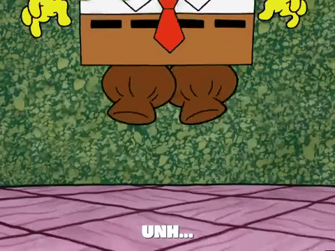 season 5 GIF by SpongeBob SquarePants