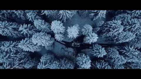 LivHema giphygifmaker snowboard ed sheeran add GIF