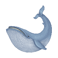 Blue Whale Sticker by imoji