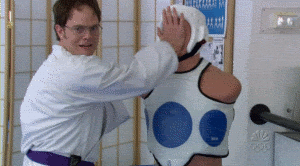 dwight schrute karate GIF