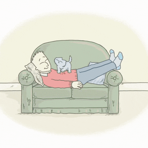 Happy Cat Meme GIF by Simon's Cat