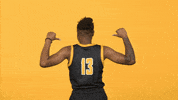 Division Ii Sport GIF by Cal State LA Golden Eagles