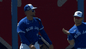 Explaining Blue Jays GIF by Toronto Blue Jays