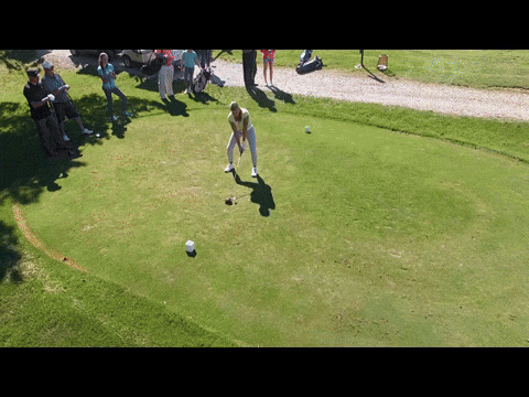 Golf GIF by Angela Shelton