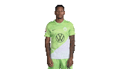 Football Changing Sticker by VfL Wolfsburg