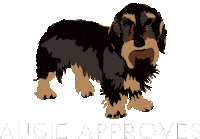Dog Puppy Sticker by mgissinger
