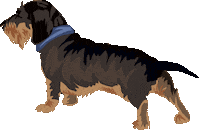 Dog Puppy Sticker by mgissinger