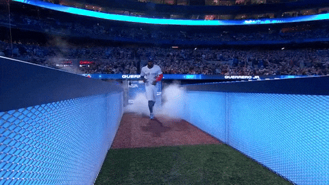 Blue Jays Sport GIF by MLB