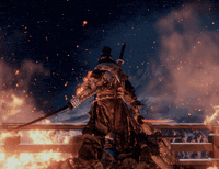 Sekiro Shura GIF