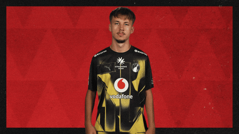 Borussia Dortmund Football GIF by Bundesliga