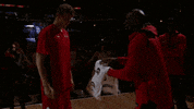 lauri markkanen chi GIF by NBA