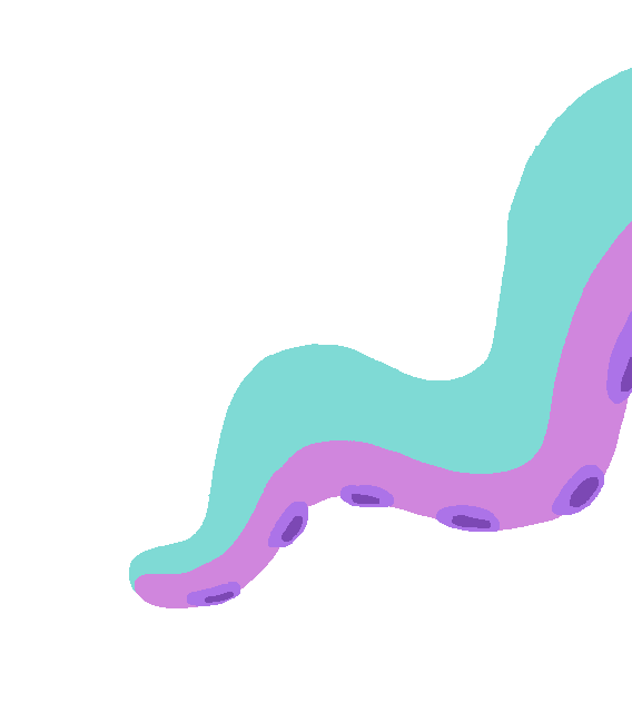 Round 6 Octopus Sticker