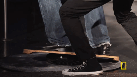 startalk GIF by National Geographic Channel