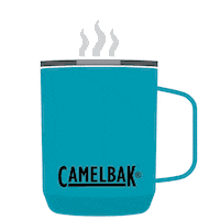 Party Celebrate Sticker by CamelBak