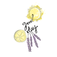 dayandnight_ hari day and night Sticker