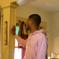 aaronvankampen aaron timber darryl home reno GIF