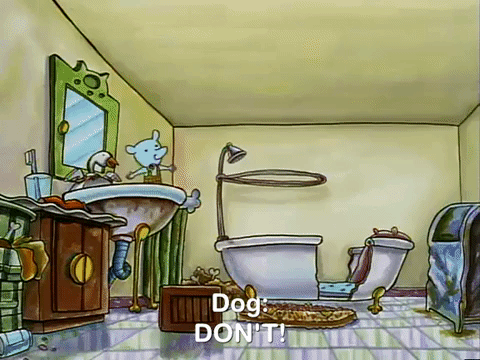 nicksplat GIF