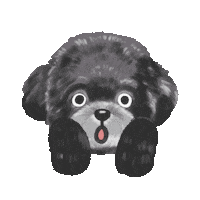 Dog Wow Sticker