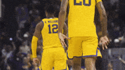 College Basketball Sport GIF by LSU Tigers