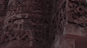 new delhi GIF by bypriyashah