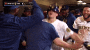 Milwaukee Brewers Sport GIF by MLB