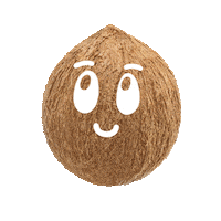 Coco Sticker by Silk Mexico