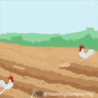Chicken Coin GIF by Sad Hamster