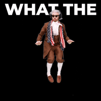 What The Hell GIF