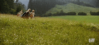 The Sound Of Music GIF by TIFF