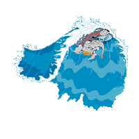 Itacoa Sticker by Itacoatiara Pro