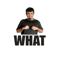 O Que What Sticker by NZVISTO