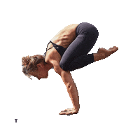 lotta Sticker by Israel bidur