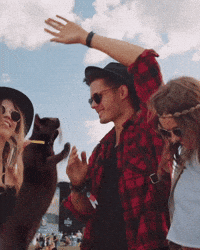Cat Say What GIF