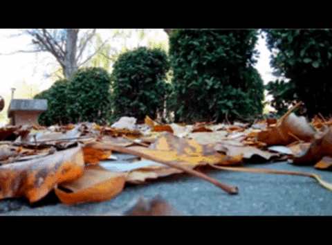 under armour sneakers GIF