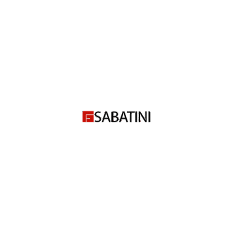Sabatinifotografia giphyupload roma sabatini sabatinifotografia Sticker