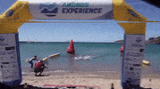 swimmingclub swimming experience andros swimmingclub GIF
