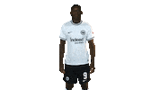 Celebration Tor Sticker by Eintracht Frankfurt