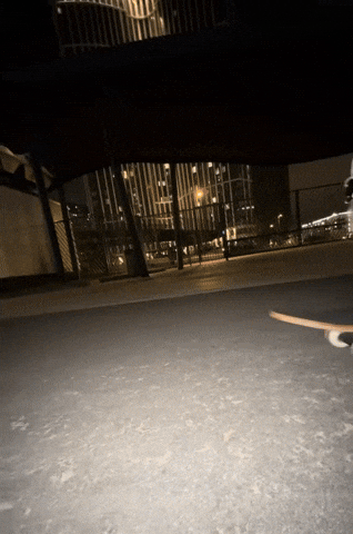 Dog Summer GIF