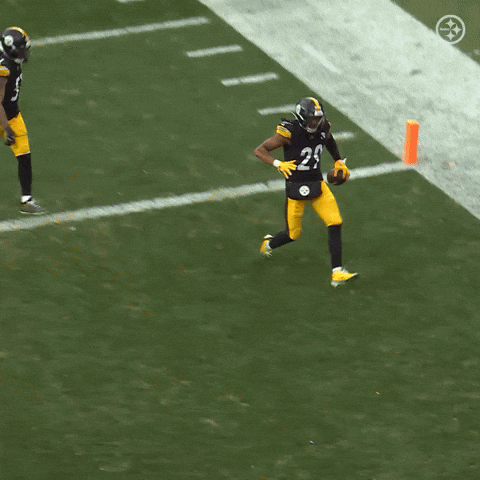 Excited Celebration GIF by Pittsburgh Steelers