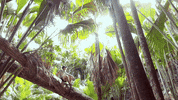 Deepblue GIF by GARZA