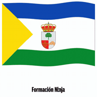 Flag Spain GIF by Formación Ninja