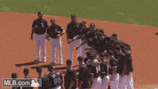 cws GIF by MLB