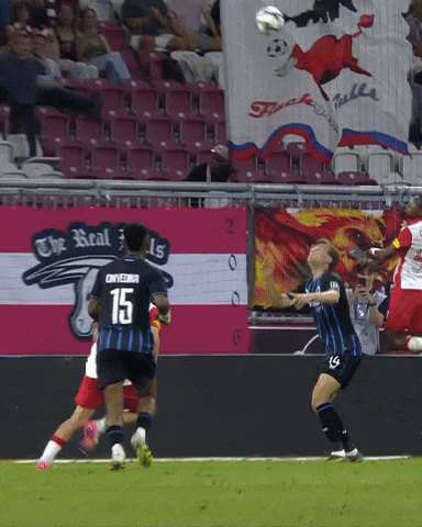 Football Soccer GIF by Club Brugge