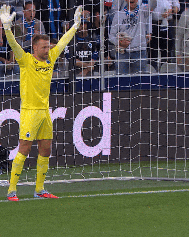 Football Soccer GIF by Club Brugge